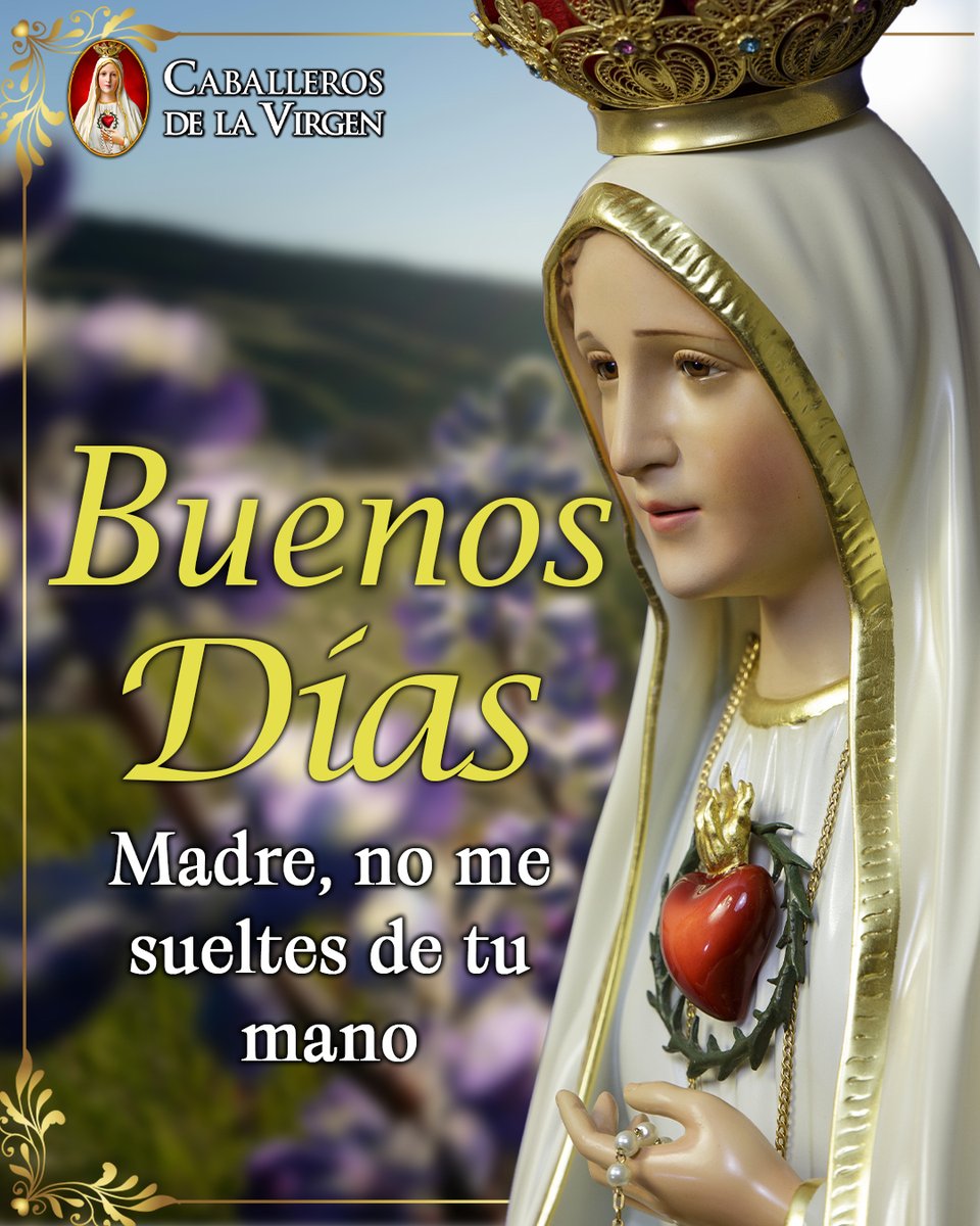 Cab_Virgen's tweet photo. ¡Buenos días! Comienza esta jornada tomado de la mano de la Santísima Virgen. Que su amor maternal te sostenga en cada decisión, fortalezca tu fe y te conduzca siempre hacia su Hijo Jesucristo. Que hoy sea un día lleno de gracia y esperanza. 🤍☀️🙏 https://t.co/Z5EbH60TDP