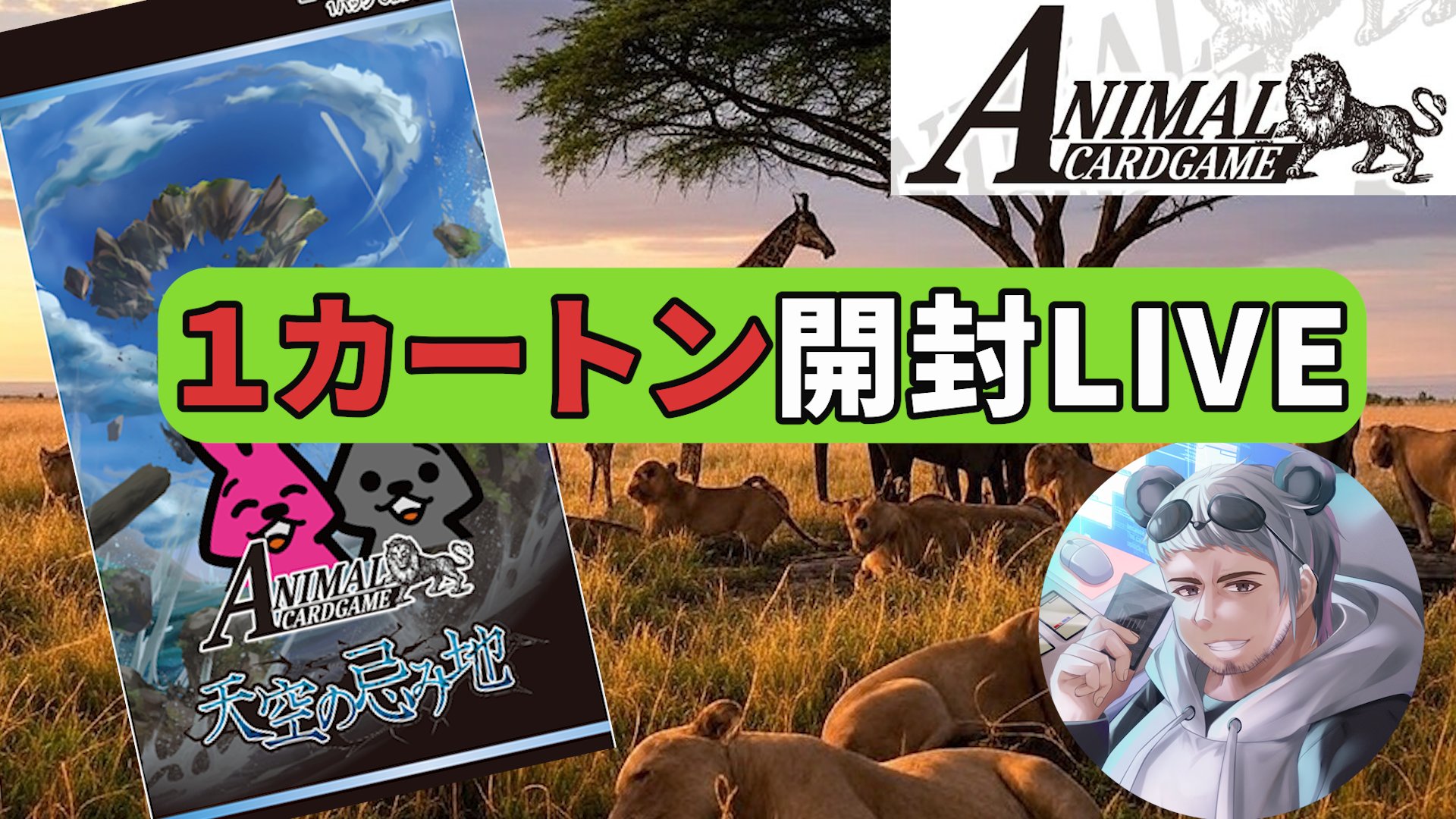 ACG応援チャンネル on X: 