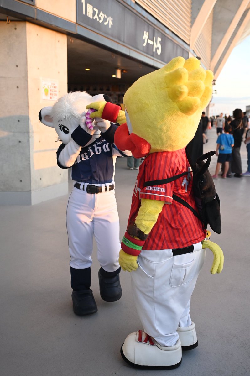 iroht's tweet photo. クワガタを腕と背中に装備してイモムシをライナさんに押し付ける夏休みの少年してたスイッチさん好きになりそう← https://t.co/0e2HqonV54