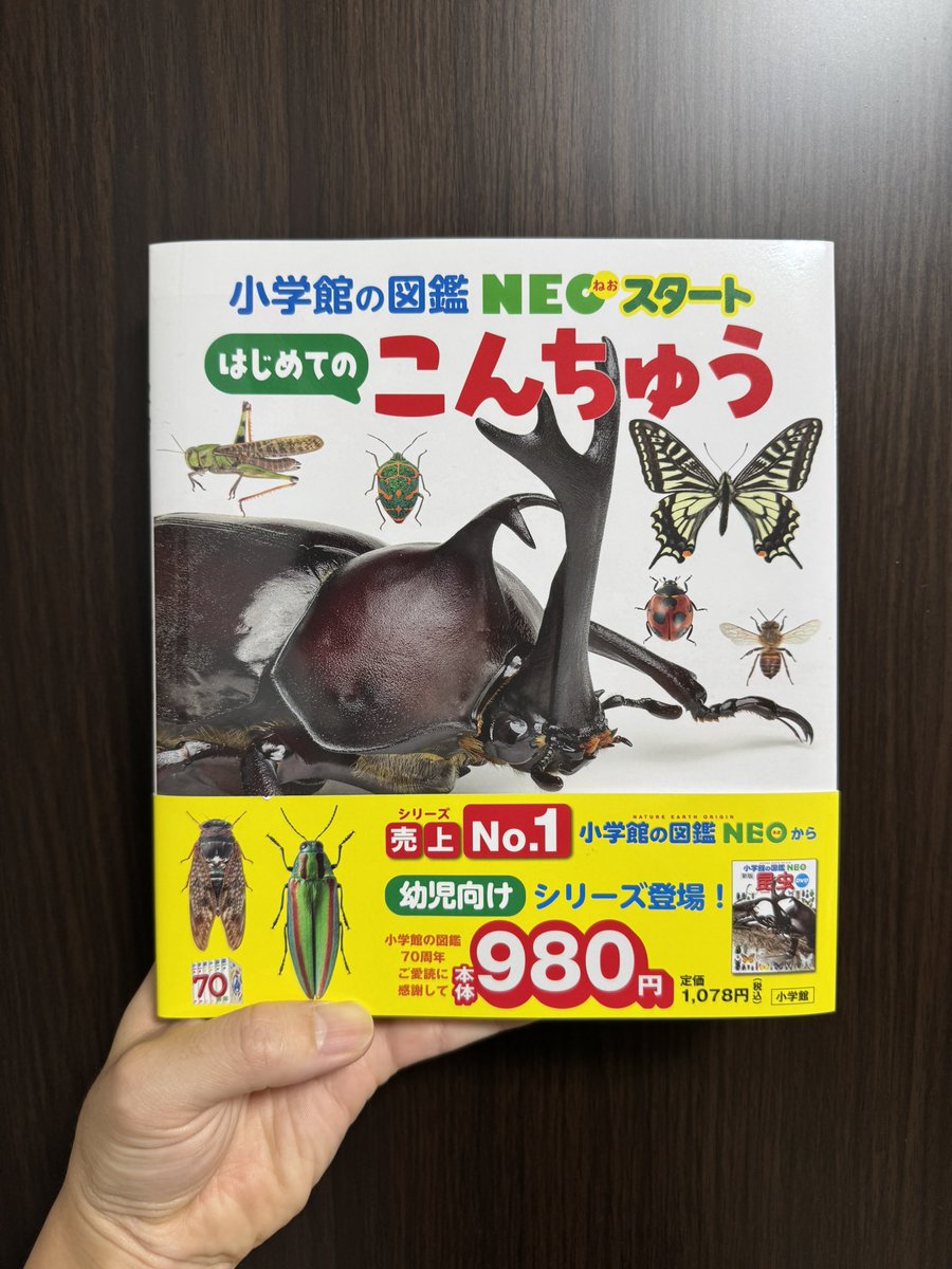 UABIrurigoki's tweet photo. 小学館の図鑑NEOスタート
『はじめてのこんちゅう』

写真提供で協力させていただきました！読みやすい簡単簡潔な説明と丈夫な本の作り。早速娘に渡しました！

これで本体価格980円はすごすぎる！ぜひ！ https://t.co/4Nfl0nwab6