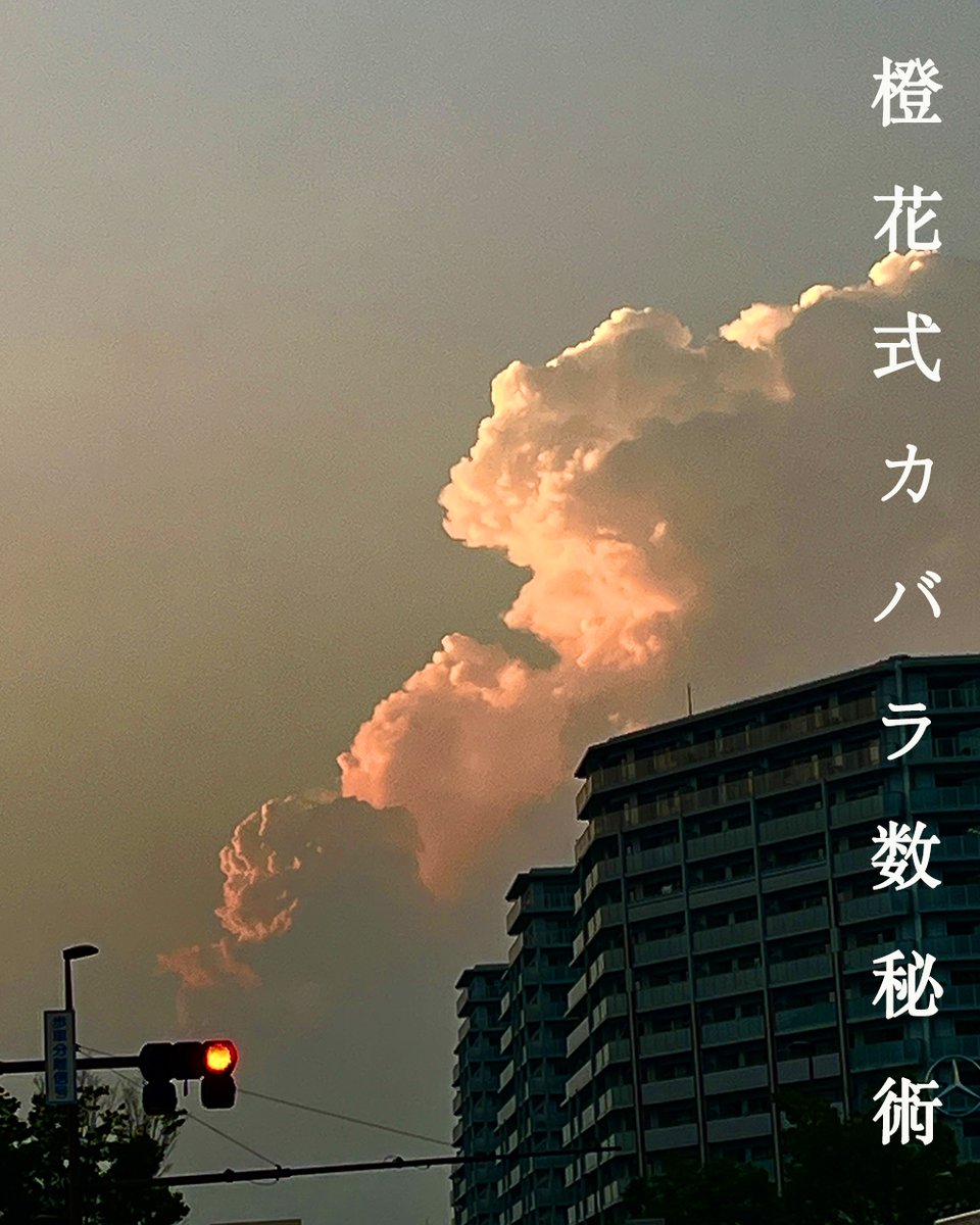 LankaToka's tweet photo. メルマガ【橙花の数秘占い#334】次の扉を開ける
今回は「引退」の理由について改めて書きました！どうぞお楽しみください！
https://t.co/sM1PRPwPCo
#橙花 #数秘占い #ネタの仕入れ #理屈で説明できる #人間の取り扱い説明書 #誰にでも役に立つツール #未知の扉 #天の声をキャッチする https://t.co/b4x8NRnDFr