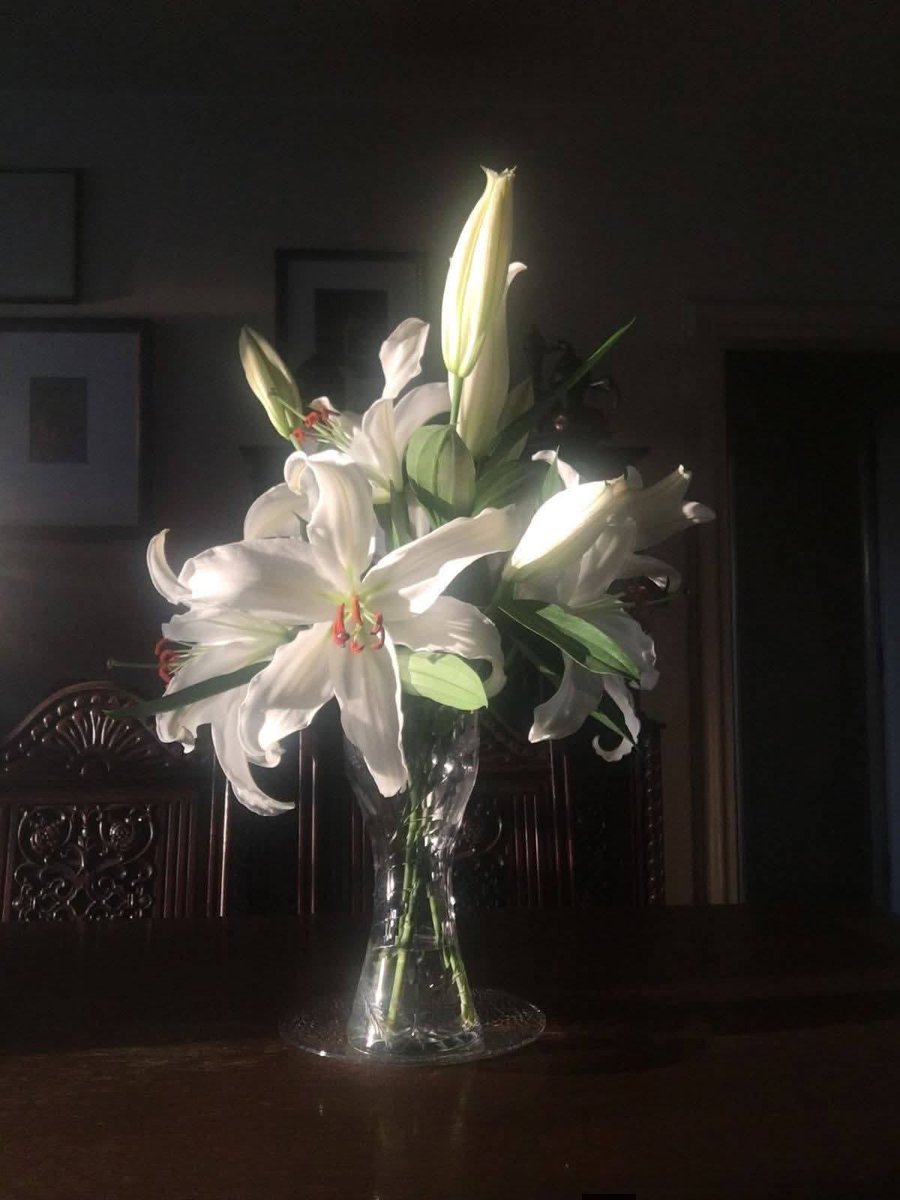 i3Moment's tweet photo. White lilies https://t.co/zFcKaA8YDW