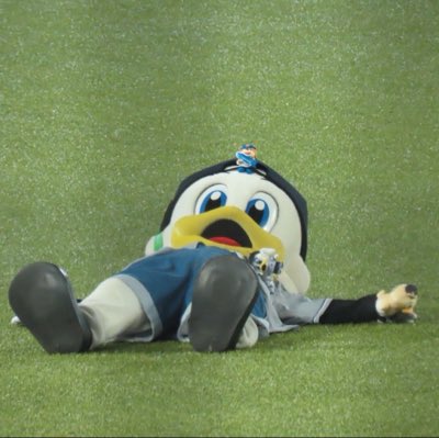 新しいプロフィール画像 #zu_chan #ズーちゃん