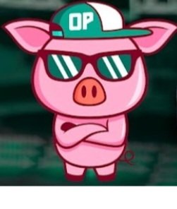 ReinaldoBDonadi's tweet photo. Eita Palmeiras, o Mengão dá meia entregada e você dá uma entregada inteira? (Com sua permissão, Neto, do canal Opina Porco) https://t.co/lN3Zl14Br7