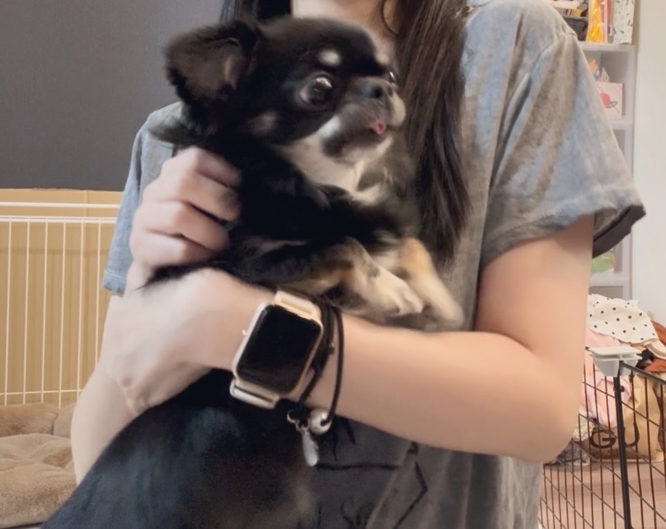 chikuwa__chan's tweet photo. 鰻たべるので 犬たべません https://t.co/wEMym1w8m6