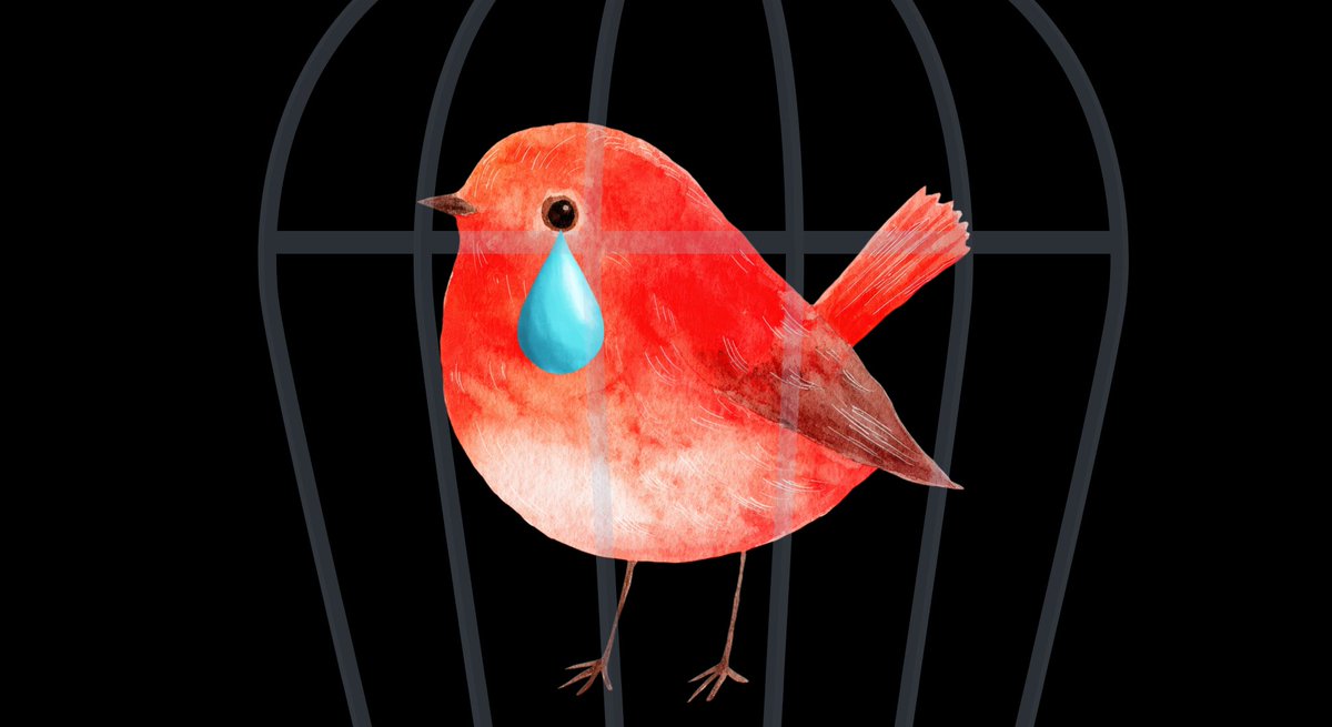 NazologyInfo's tweet photo. 鳥は飛べない日が続くと「悲観的」になっていた――ご褒美なしでも99.9%が飛ぶ理由
https://t.co/tfSUWcFBOL

蘭UUらは飛んでも飛ばなくてもご褒美は同じ場合、モモイロインコは平均99.9%の割合で飛び立つと発表。また飛ぶことで前向きな気分になり、飛べない日が続くと悲観的になりました https://t.co/RBE5rKkyk8
