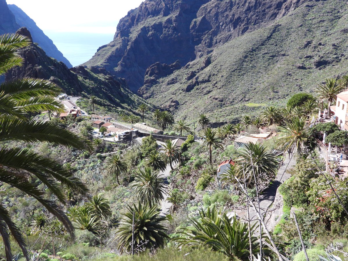 KnockinOn1970's tweet photo. ♦403. El pintoresco caserío de Masca, (Parque Rural de Teno) #Masca #MascaTenerife #Tenerife #IslasCanarias
#CanaryIslands #TenerifeNorte #BuenavistaDelNorte
#MacizoDeTeno #BarrancoDeMasca Plaza de Masca: El corazón de la aldea, presidida por una iglesia del siglo XVIII. https://t.co/Rb0hmuyuLh