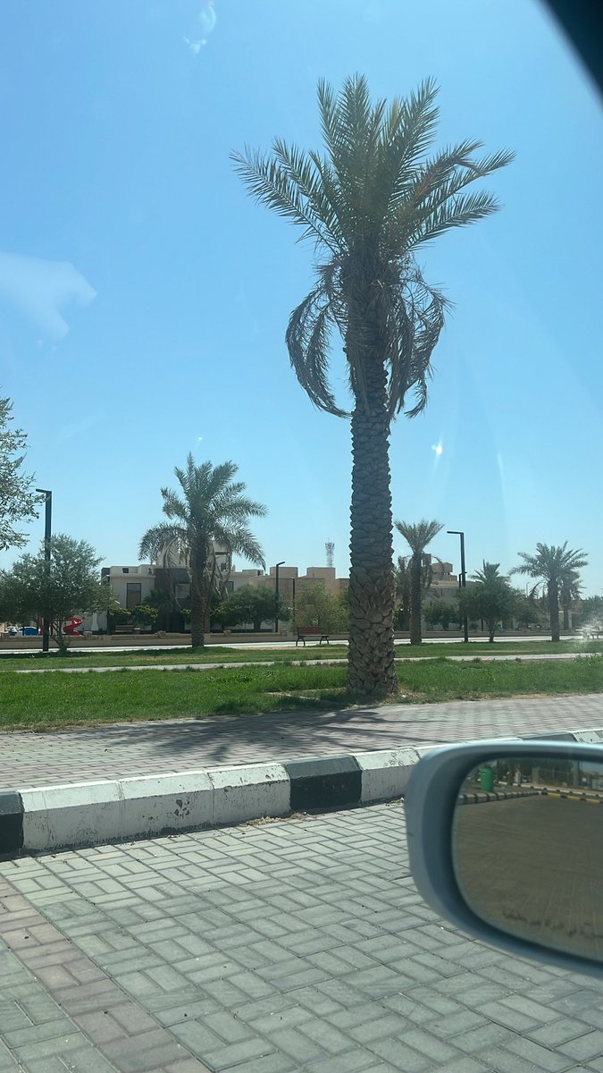 Guood_'s tweet photo. طاقة الصباح رهيييبه 
الحمد لله على نعمة الانجاز🙏🏻 https://t.co/E8PFBfTQrN