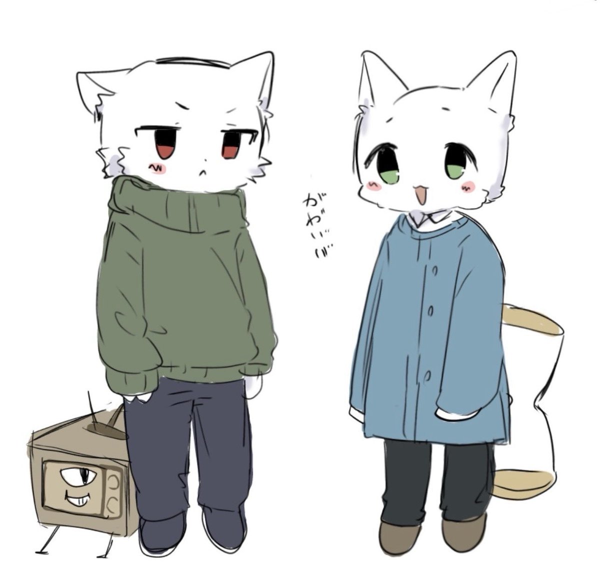 ぷっち tweet media