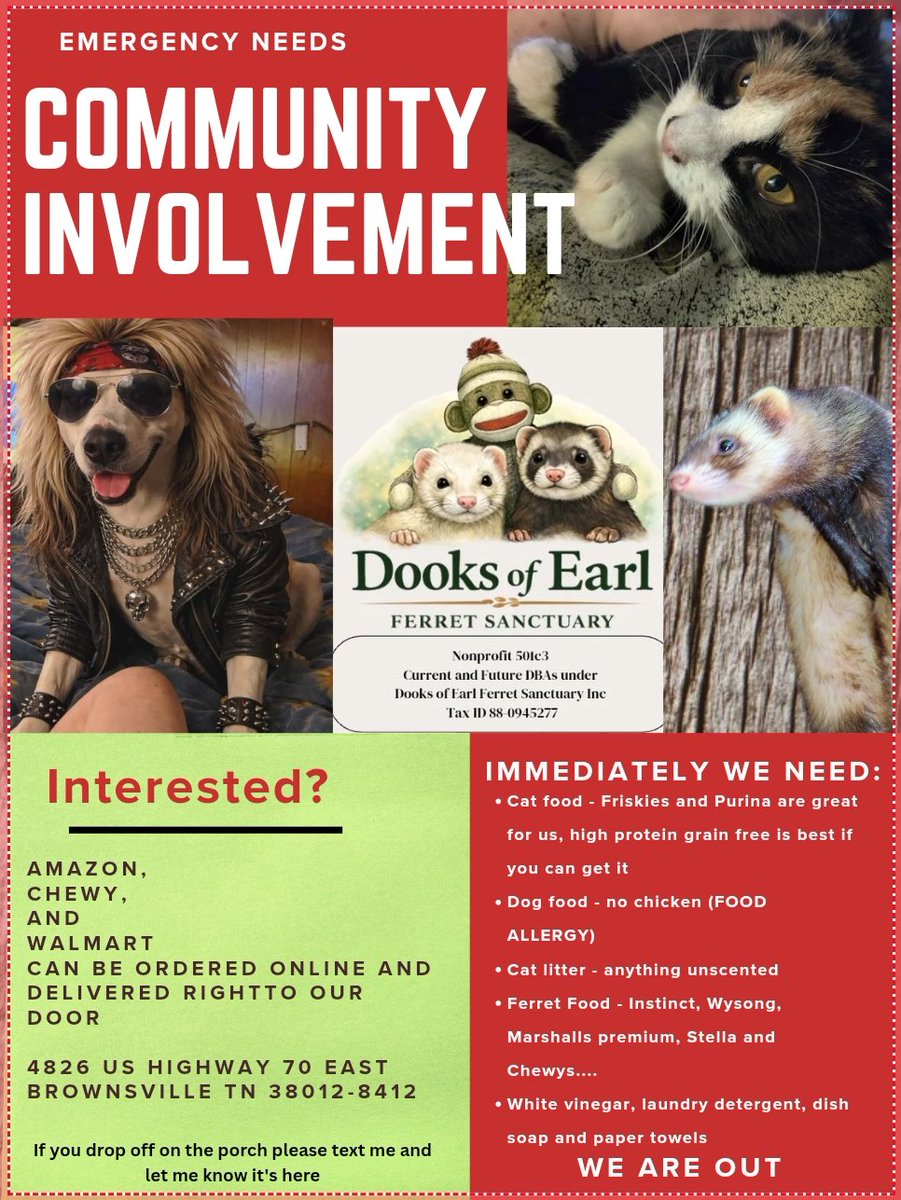 RatsSmall's tweet photo. Please help and repost... https://t.co/tJKUhkMAP3