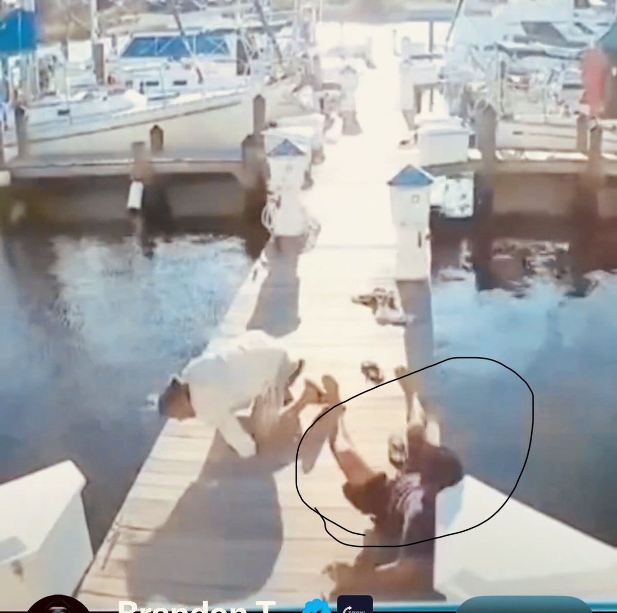 ChrisJanz5's tweet photo. @tarkusnj @catturd2 Clearly you’re fuckin retarded… watch the video again and pause it at 18 seconds… He fell into the dock box!!! Dolt… https://t.co/6femoK1jk5