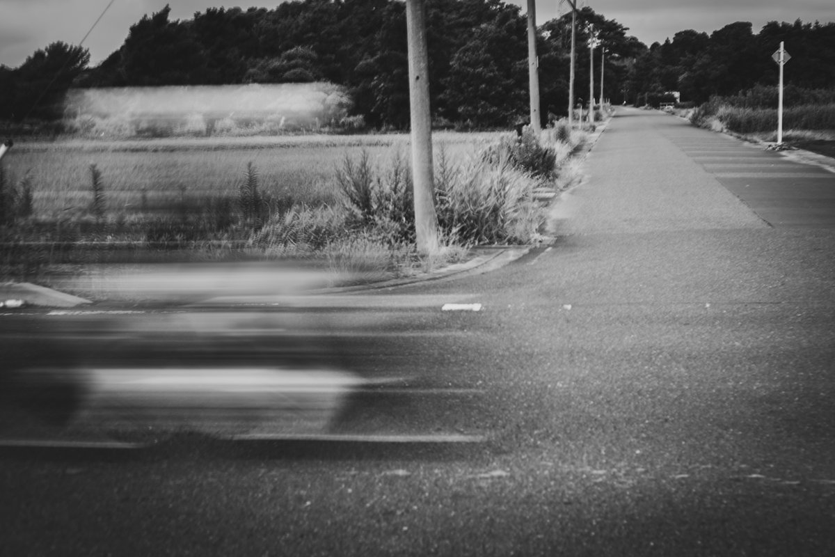 2554 #monochrome #モノクローム