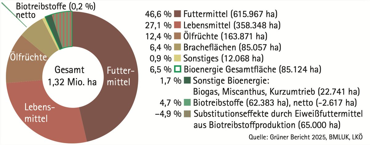 oebmv's tweet photo. #BasisdatenBioenergie #Biotreibstoffe #Bioenergie #Biomasse #ErneuerbareEnergie
📖  📊 📖
Verwendung der österreichischen Ackerfläche 2024
47 % des Ackerbodens werden für die Futtermittelerzeugung, 27 % für die Nahrungsmittelproduktion und 6,5 % zur Energieproduktion eingesetzt …
👉 https://t.co/789rMFdrpx
Ein gratis Exemplar kann unter office@biomasseverband.at bestellt werden.