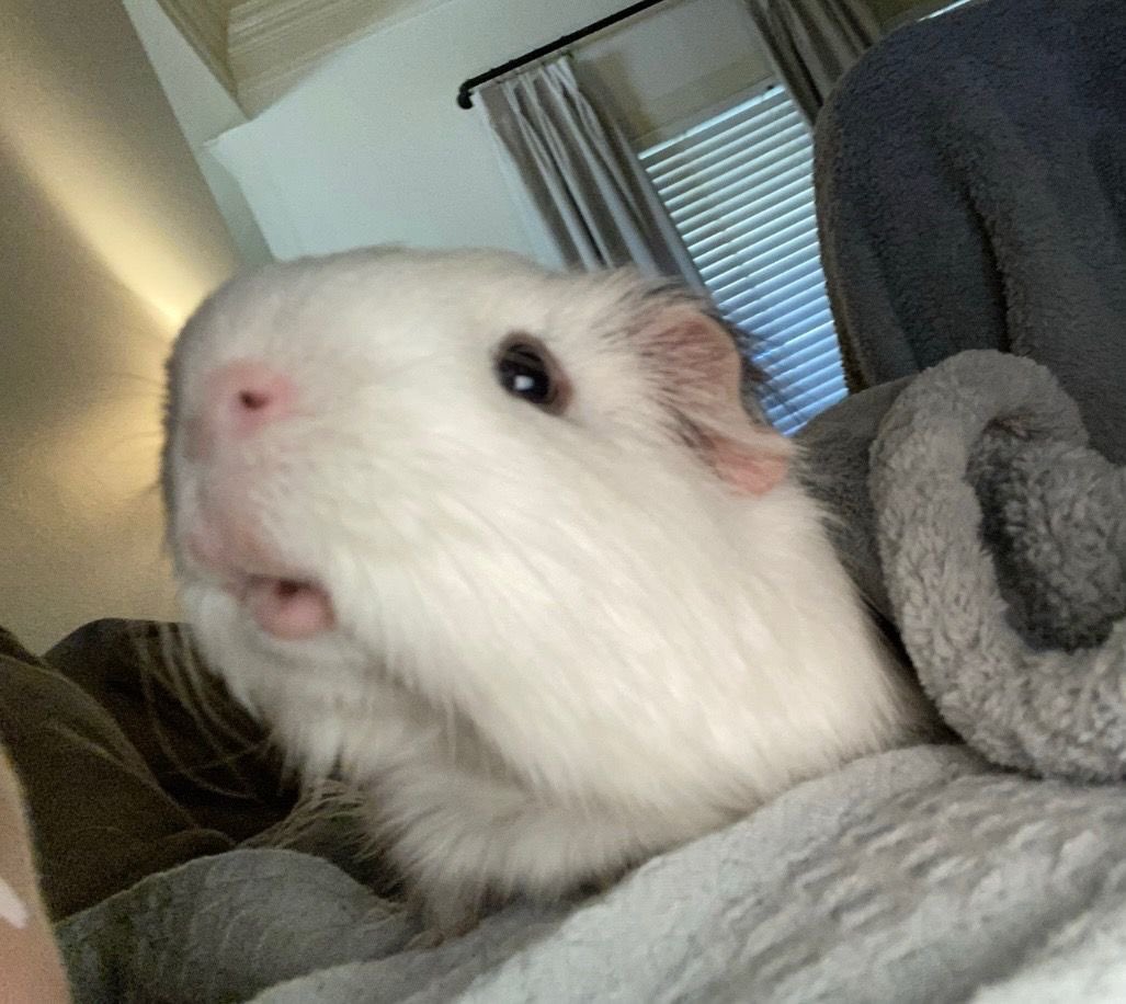 Hando21_'s tweet photo. https://t.co/dCo8fusuyD