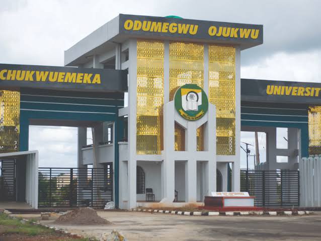 HarmlessHQ's tweet photo. This is really inspiring. Of course, I don't believe in Peter Obi's politics but I'm inspired with his achievements in education.

Just finding out today that Peter Obi started what we know today as the Igbariam campus of Anambra State university.

It was a complete bush. Peter Obi cleared the bush, leveled the ground and built the biggest faculties of Law and Agriculture for a state university in Nigeria.

He didn't just stop there, he also built the fastest and biggest teaching hospital for a state university in Nigeria.

I think this guy is miles ahead of Asiwaju in terms of education developments. 

What do you think?