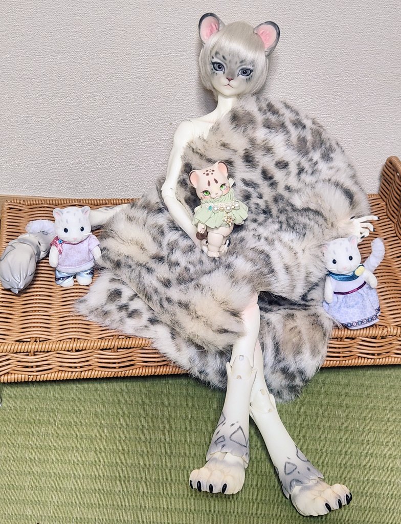 ohagikaikun220's tweet photo. 雪兄お迎えして本日で1周年🎉
お迎えした日はお洋服がなく毛皮を巻かれ、1周年は綺麗なお姉さんの姿で写真を撮られる
そんな彼に素敵なお洋服をたくさん見つけてあげられるよう主は頑張ります!
#DreamValley
#uncia https://t.co/dBfafkAUhC