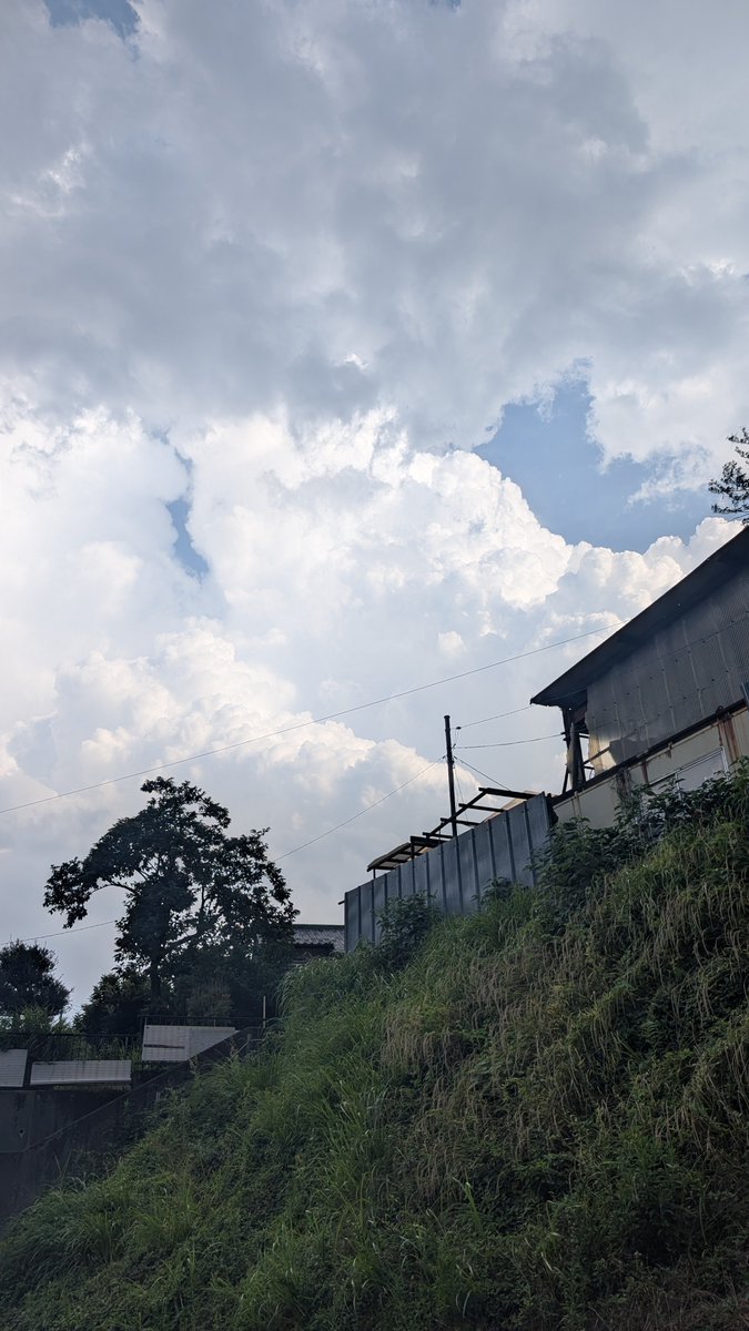 mmmm_iiiii_'s tweet photo. 夏。ゲリラ豪雨のちょっと前。 https://t.co/De65ZywHDP