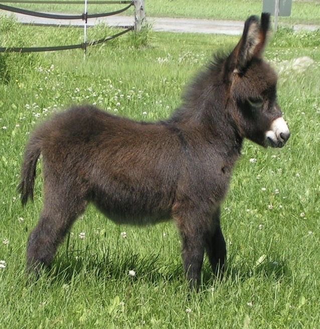 LovelyCuteDaily tweet picture