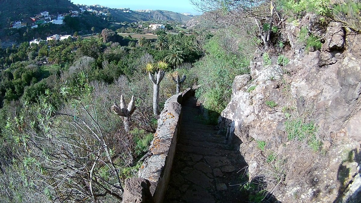 KnockinOn1970's tweet photo. ♦405. Jardin Botanico Viera y Clavijo
🌿#JardinBotanicoVieraYClavijo
#VieraYClavijo
#GranCanaria
#IslasCanarias
#CanaryIslands
#BotanicGarden
#FloraCanaria
#NaturalezaCanaria
🌱 #Botanica
#NaturePhotography
#GreenSpaces
#GardenLovers
#EcoTourism https://t.co/UoT6hmXht6