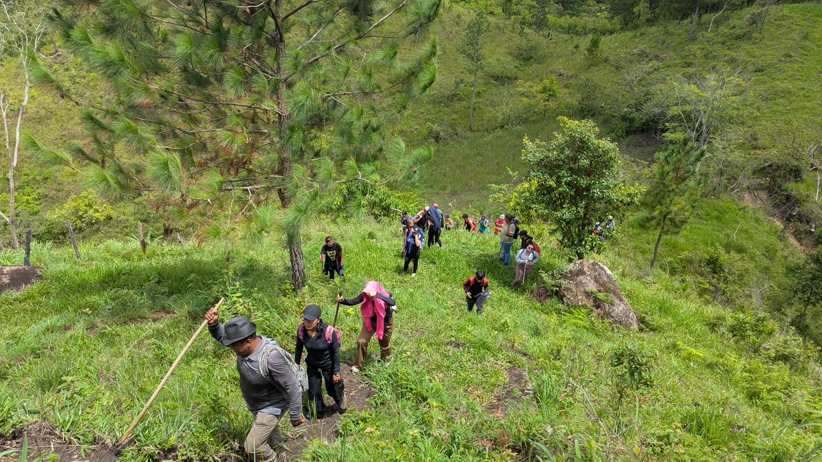 InturNvaSegovia's tweet photo. Con la participación de 50 senderistas de toda Nueva Segovia, vivimos una experiencia inolvidable en "Senderismo Jalapa y sus Maravillas", alcanzando la cima del majestuoso Cerro La Piedra, en la comunidad de Pasmata. ⛰️

#NicaraguaÚnicaOriginal
#NicaraguaFascinanteIrresistible https://t.co/VpYJK0EyMo
