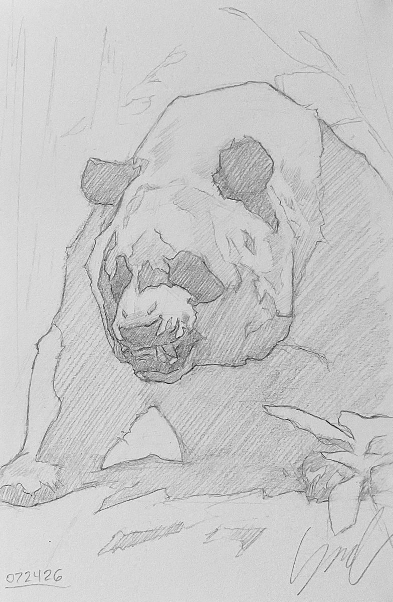 wistful_soic's tweet photo. 🎍🐼Angry Panda cool-down sketch, drawn with graphite on 4x6 inch paper.🎍 https://t.co/fJgV0KG17n