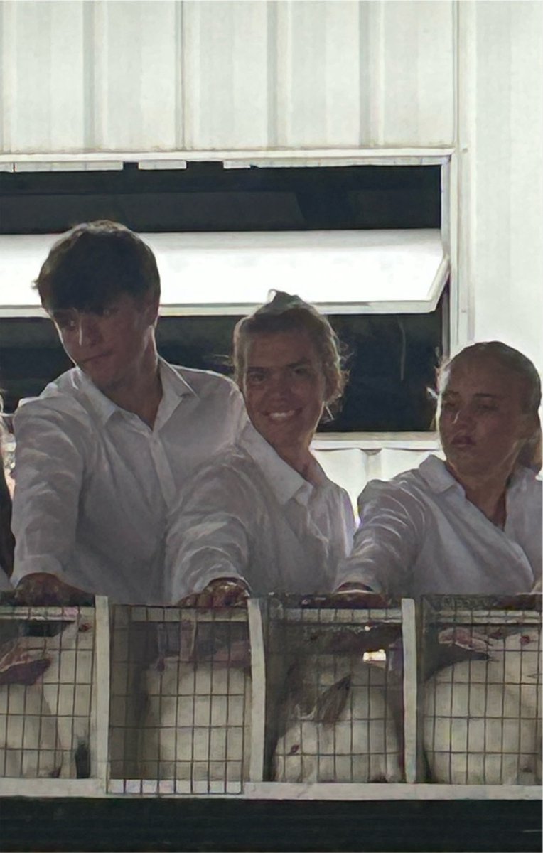 FLFFA's tweet photo. The Market Rabbit Show is underway at the 2026 SCF and three of our members competed with their SAE projects. Rose, Madison, and Olivia all ended up in the same class. Great work ladies! https://t.co/JAiBwFlb4u