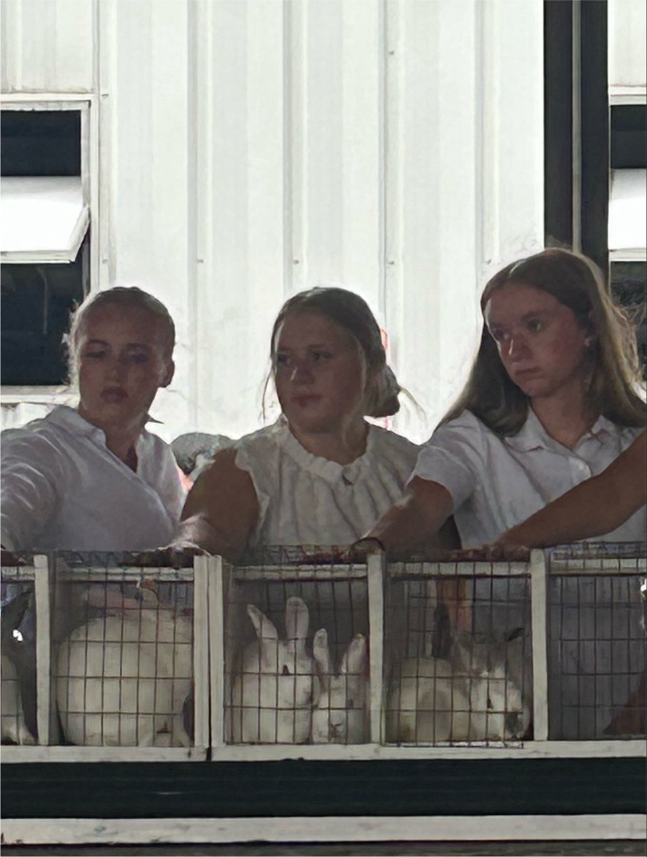 FLFFA's tweet photo. The Market Rabbit Show is underway at the 2026 SCF and three of our members competed with their SAE projects. Rose, Madison, and Olivia all ended up in the same class. Great work ladies! https://t.co/JAiBwFlb4u