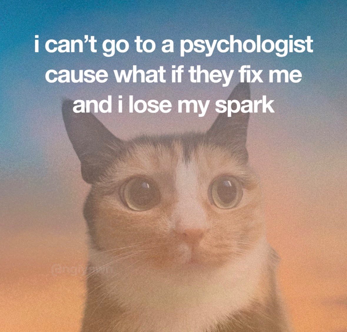 sillymeow4u's tweet photo. https://t.co/hG4Pvfd8xz