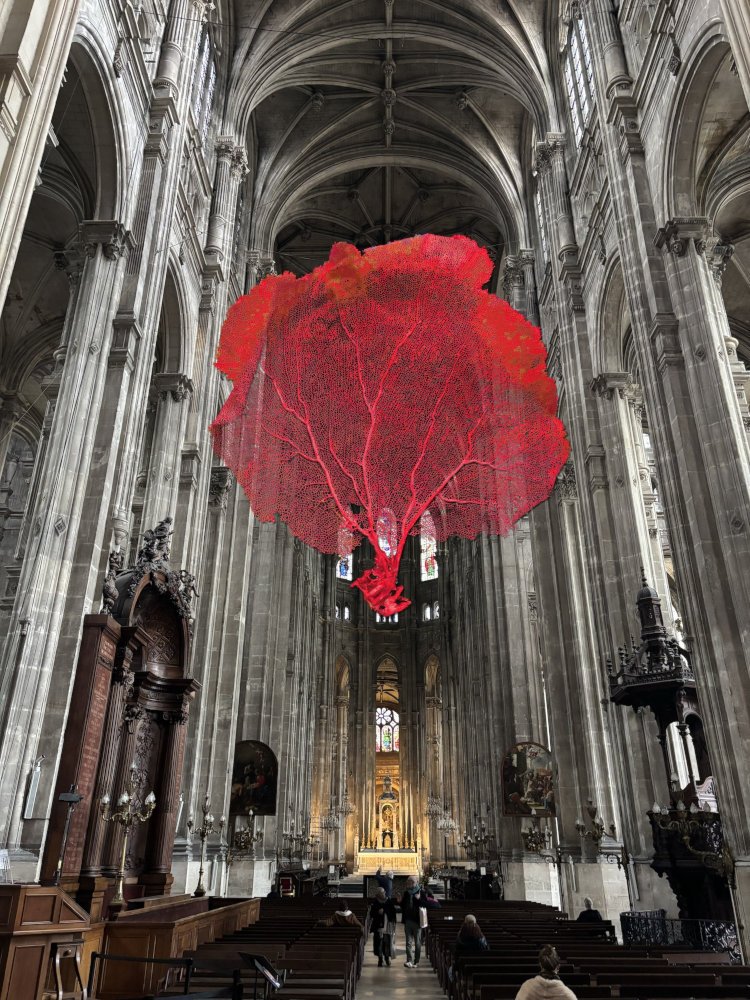 lechochretien's tweet photo. 🌳🫀 𝗙𝗟𝗔𝗦𝗛 𝗜𝗡𝗙𝗢 — Depuis plusieurs semaines, l'église Saint-Eustache de Paris accueille dans sa nef Le Souffle, une sculpture monumentale de 7 mètres de haut réalisée en aluminium découpé au laser par l'artiste contemporaine Lydie Arickx.

L'œuvre évoque le corail des profondeurs, l'Arbre de Vie et le cœur humain, tout en sensibilisant à la préservation des écosystèmes marins.

(Source : Sortir à Paris)