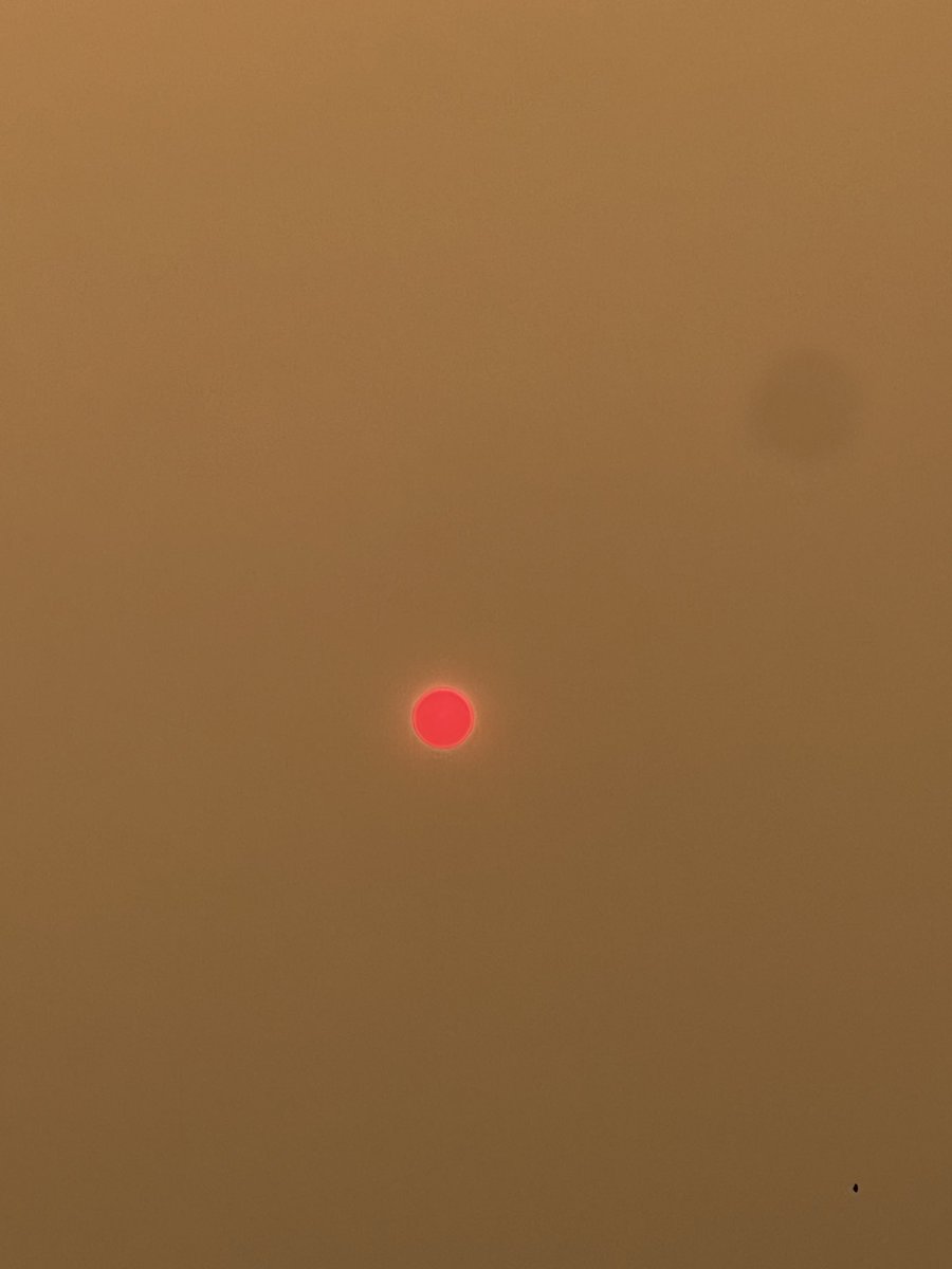 Esterlerma's tweet photo. #julio2026 #IncendioForestalMadrid "Como una hoguera hambrienta que devora el bosque." — Pablo Neruda. Cielos rojos y ahumados en CR La Berzosa -Hoyo de Manzanares, Madrid . Fotos del dia 23-07-2026 https://t.co/ueTY1hlZ0N