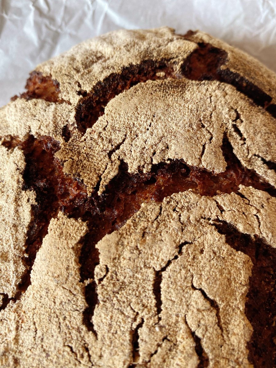 LennieBostxjb's tweet photo. Just nailed my first homemade sourdough loaf—crusty exterior, fluffy interior, and the smell that fills the whole house is chef’s kiss!  Still can’t believe I baked something this perfect! https://t.co/2Z5dwoaxvP