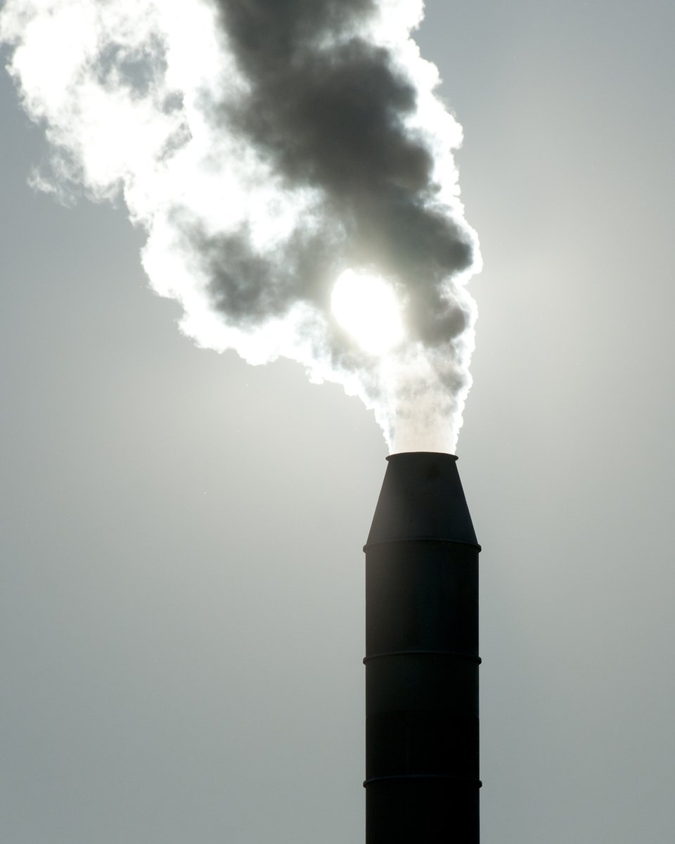 WorldBankECA's tweet photo. Uzbekistan was the first country in the world to receive carbon finance for energy policy reform and already cut 23.7 million tons of emissions.

Now the Kyrgyz Republic is building on that model.

See how the @WorldBankGroup is supporting these efforts: https://t.co/t7z4vsCeGz https://t.co/DM0xSlqExj
