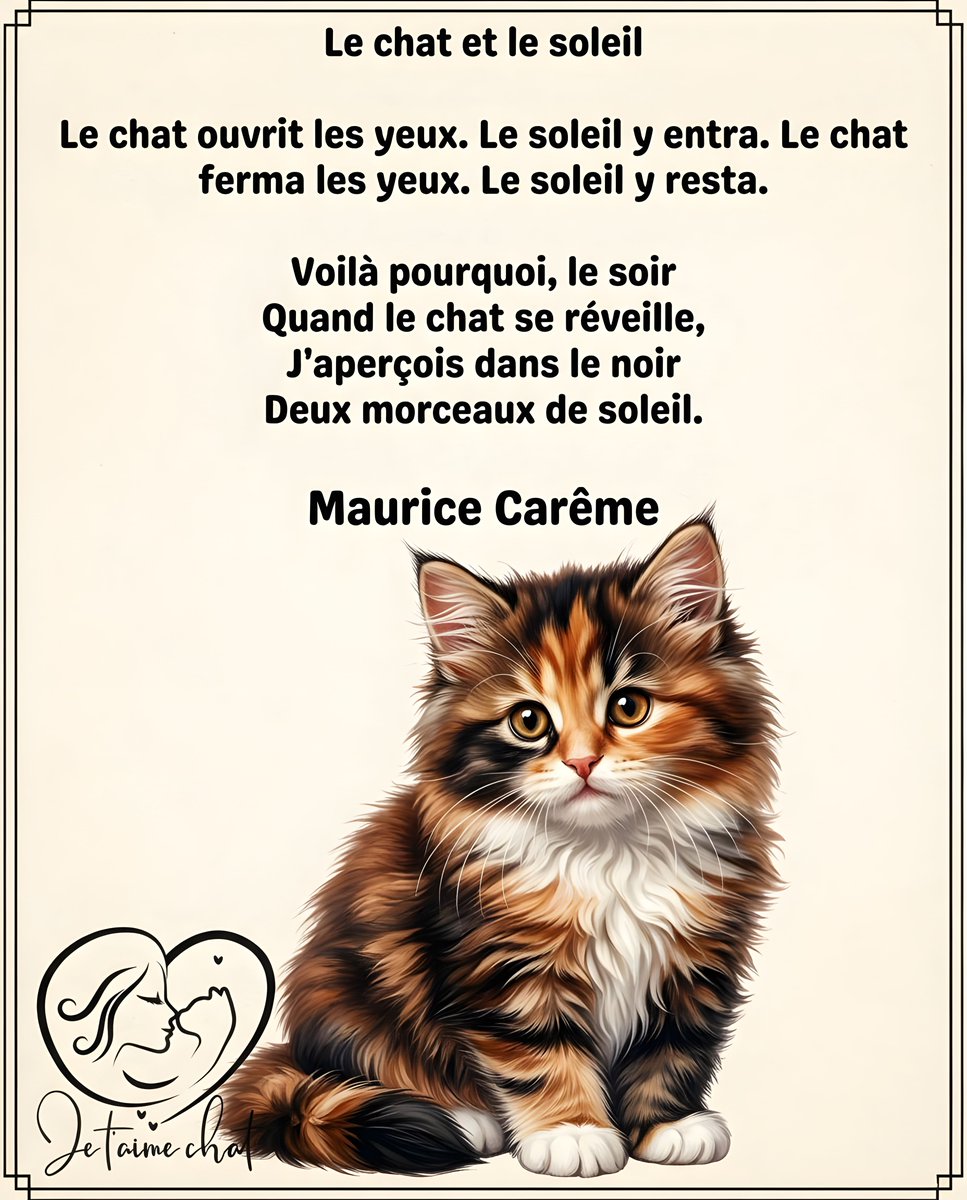 jtmchat's tweet photo. Rejoins la famille Je t'aime Chat ๐พ ๐ @jtmchat |
........#ChatsDeFrance #VieDeChat #AmourDeChat #ChatDuJour #Ronron #ChatLovers #UniversDesChats https://t.co/YEBFECrOCd