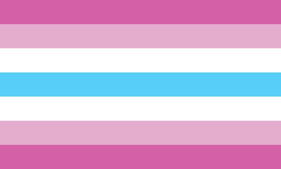 zoffiscissors's tweet photo. pregunta, si esta bandera existe, POR QUÉ LOS FEMBOYS AÚN USAN LA BANDERA TRANS? https://t.co/9AUzSnsTWQ