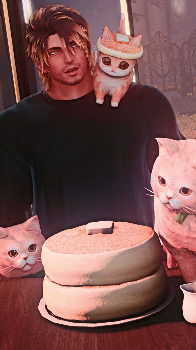 PancakeXIV's tweet photo. ʟɪғᴇ ᴡɪᴛʜ ᴄᴀᴛs 🐈 https://t.co/dAsG4hRla2