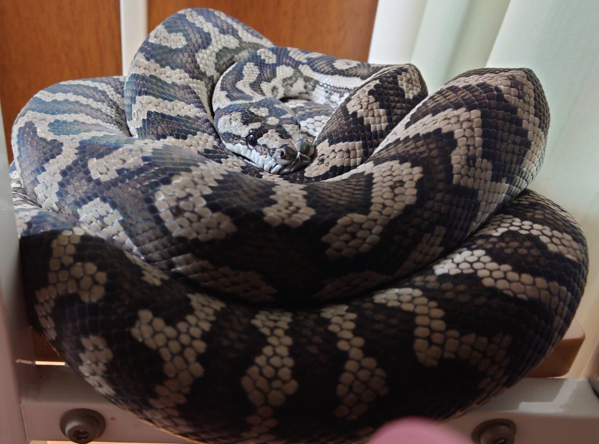 Margaret_River3's tweet photo. 完成図 https://t.co/NoSa8v6mvU