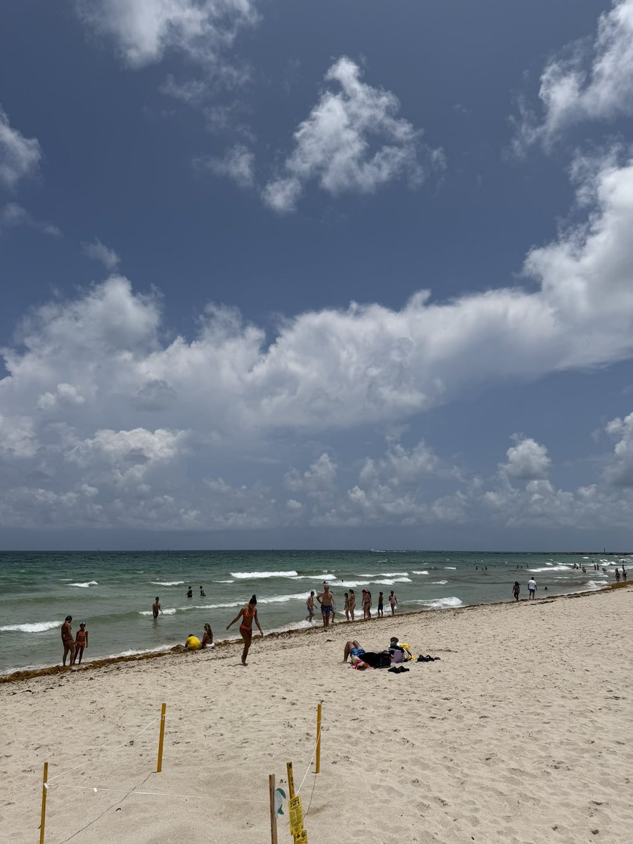 sambaevl's tweet photo. miami you will be unforgettable https://t.co/y9xqwcvPk9