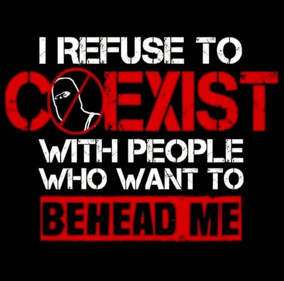 CathyWelsh15's tweet photo. @JeaninePirroRv We can defeat this male dominated paedophile cult that subjugates women and little girls into sex slaves by banning Syria and the hijab

Or the hard way will be we all have to fight them on an American soil at the price of our blood and treasure https://t.co/uOwasNzRzj