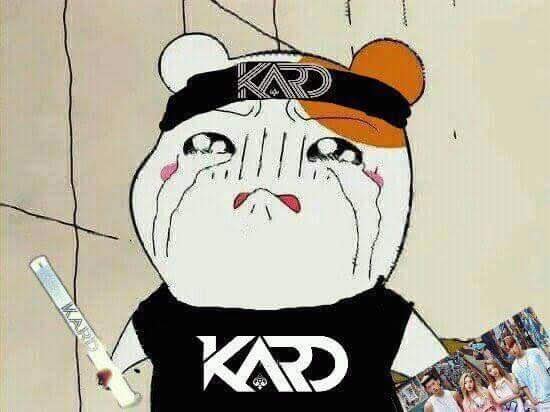 Min_kee24's tweet photo. Me tienen así

#KARDNOWHEREinColombia #KARDComeToColombia @hylive_official @gigmusicoficial @k_dreamcol https://t.co/7klO4CniEi