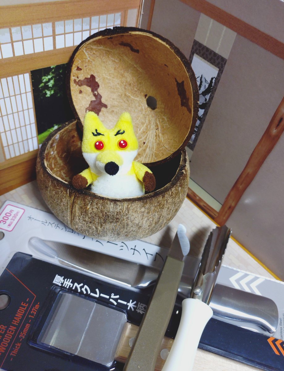 kadasa9's tweet photo. 🥥中身取り出す道具を色々買ってきたけど正解🤠
1番端のやつ（🍎の芯くり抜くやつだったかな？）がとても良い。
その隣が🌰剥くやつ。
これは仕上げに良き。
後の2つは使わなかった。
1つ目の🥥はちょっとミスって割れちゃったので、もう一つは慎重に作業します。…暇なん？って言われそう😂 https://t.co/roNuQOUkLS