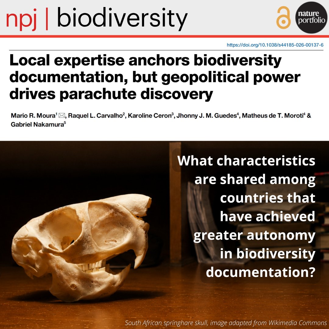 mariormoura's tweet photo. We published a new study in npj Biodiversity showing how geopolitical inequalities continue to shape biodiversity documentation of new mammal species 🦇🐒🦥📚 🌐. Follow the thread 🧵(1/9)!

@Raquelucarvalho @ceronkarol  @matheus_moroti @NaturePortfolio 

#parachutescience https://t.co/8GyhGpc1Dr