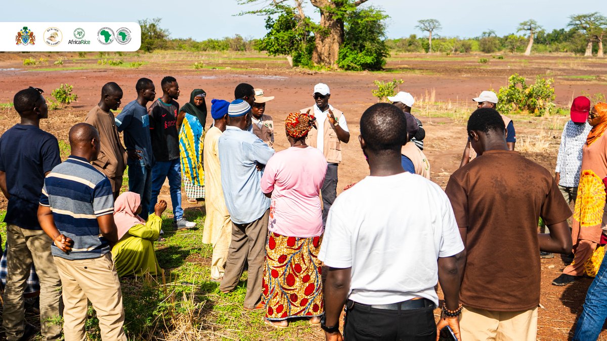 RewardGambia's tweet photo. DAY 2 | Mandatory Site Visits
Prospective bidders visited REWARD project sites in CRR South to assess proposed land development, irrigation schemes, and access roads, helping them prepare technically sound bids.

@AfDB_Group https://t.co/GDI7fazHvx