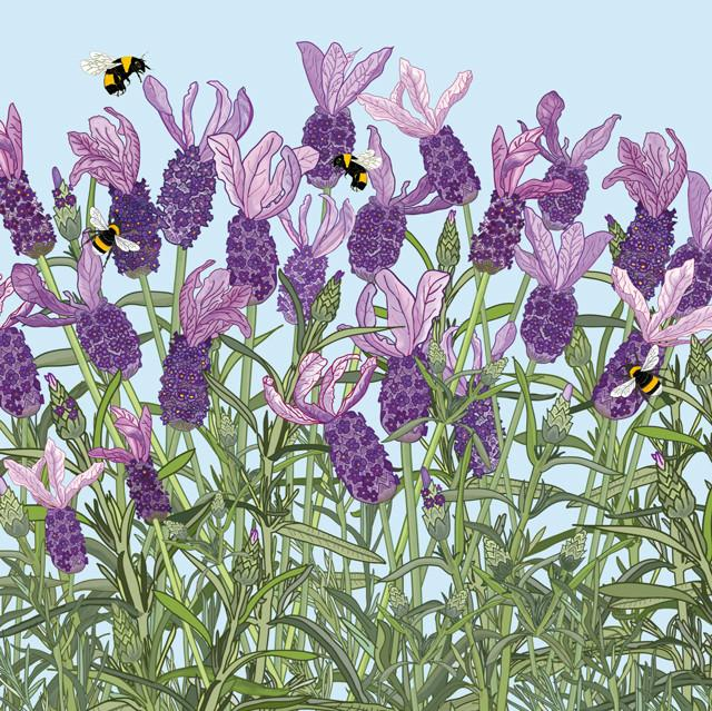 marysia_cc's tweet photo. Mig Wyeth 
French Lavender https://t.co/THClgu2Vws