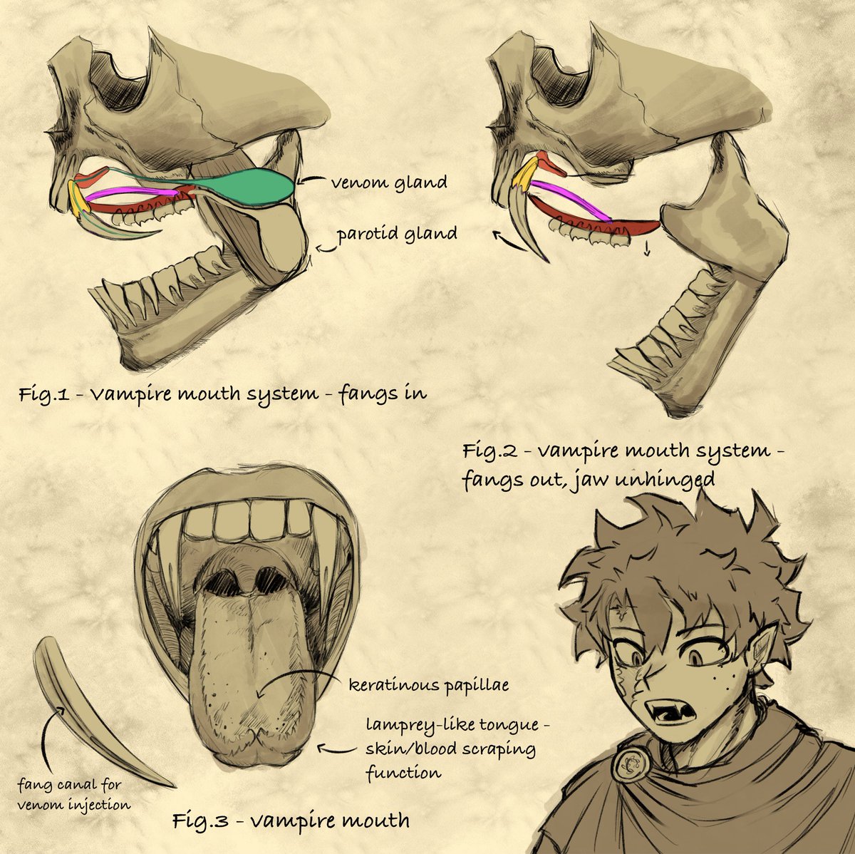 Faefawn_'s tweet photo. MHA AU - Vampires ft. Izuku 1/?
#mha #IzukuMidoriya #vampires #AU https://t.co/2MCRr3JWfQ