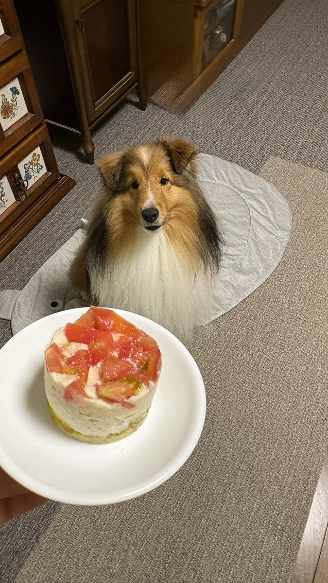 もると🐶ママ tweet media
