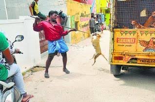 wakeupied's tweet photo. @Pokkiri_Victor ஆதரவா?? Lus punda whats app la status potu irupan ... https://t.co/pN7XyHtFOm