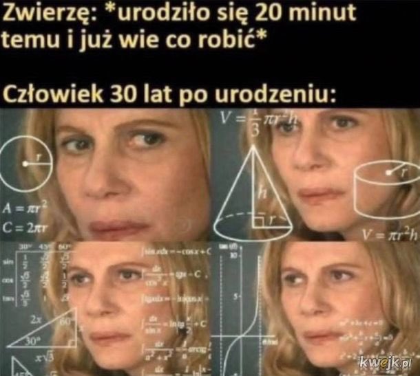 Kerwinioo's tweet photo. Rel XD https://t.co/mxz2E34OJJ