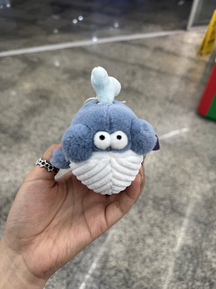 BenBen(PlusA) tweet media