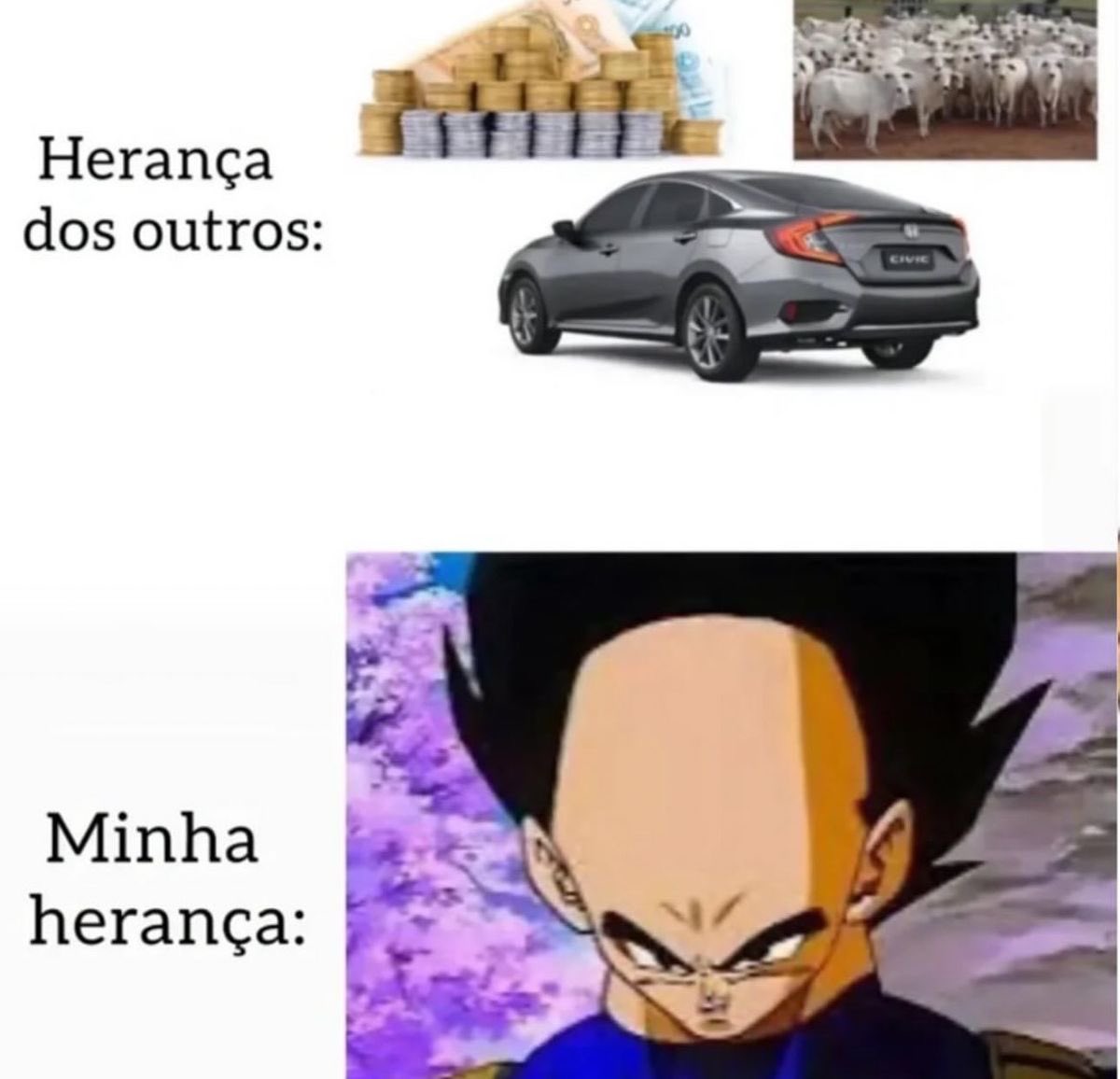 shitpostverdade's tweet photo. https://t.co/jlLZg2mdNj
