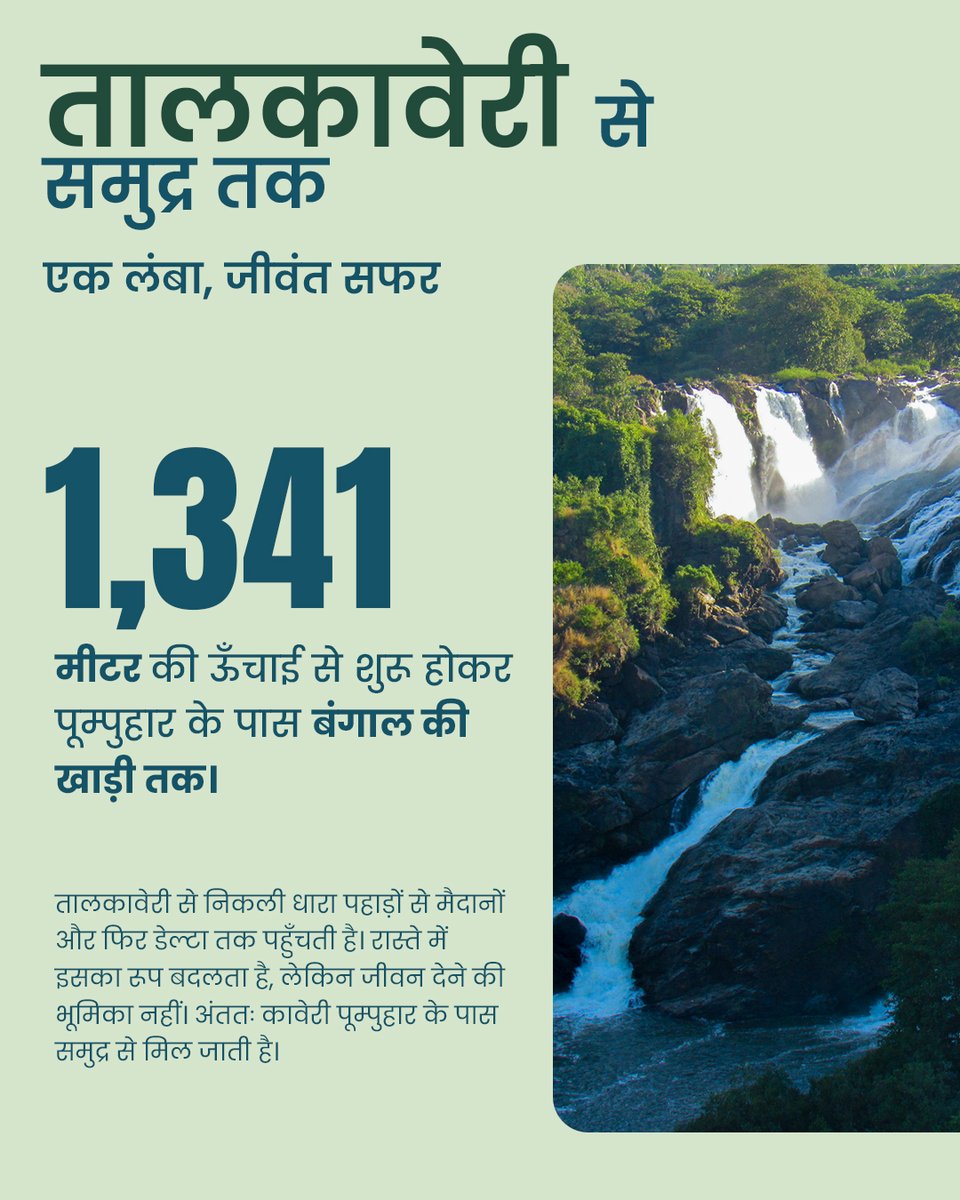 NRCD_MoJS's tweet photo. इस बार कहानी है कावेरी की—दक्षिण भारत की धड़कन और सदियों से बहती एक जीवित विरासत की।

तालकावेरी से लगभग 1,341 मीटर की ऊँचाई पर शुरू होकर कावेरी करीब 800 किलोमीटर की यात्रा करती है और पूम्पुहार के पास बंगाल की खाड़ी से मिलती है। कर्नाटक, तमिलनाडु, केरल और पुडुचेरी से जुड़ी इस नदी के किनारे आस्था, इतिहास, खेती और अनगिनत समुदायों का जीवन विकसित हुआ है। इसी गहरे संबंध के कारण इसे “दक्षिण गंगा” भी कहा जाता है।

आने वाले अध्यायों में जानिए कावेरी की यात्रा, प्रकृति, इतिहास और उससे जुड़े जीवन की कहानियाँ।

आइए, शुरू करें कावेरी को करीब से जानने का यह सफर।
नदी को जानें। उसके महत्व को समझें। उसके भविष्य को सुरक्षित रखें।

#नदीगाथा #कावेरी #दक्षिणगंगा #CauveryRiver #DakshinGanga #KnowYourRiver #RiverConservation #NRCD #catchtherain

@KarnatakaVarthe  @DDNewslive @airnewsalerts